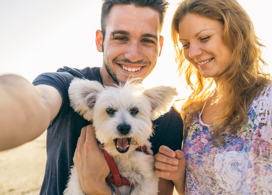Weekly News: Homeless Couple Receives Medical Care and Care for Pet