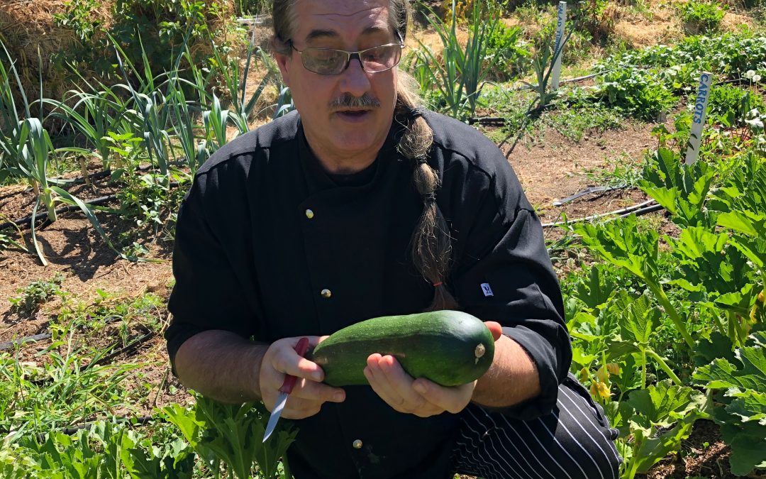 Weekly News: Guest Finds Employment after Graduating from Hospitality House’s Culinary Program