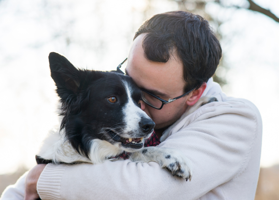 Weekly News: Guests are Housed with their Pets