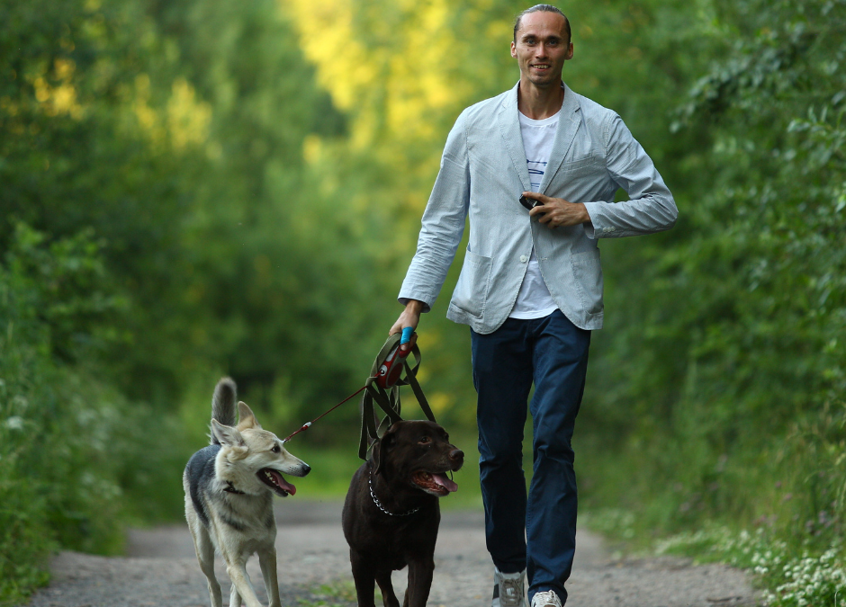 Weekly News: Pet Program Facilitates Client to Attend Recovery Program and Reunification with His Two Dogs