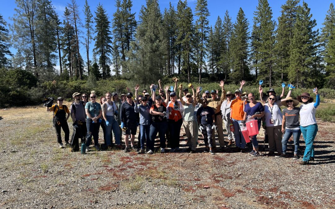 Community Invited to Join Camp Cleanup to Make Way for Enhanced Trails and Wildflower Preservation